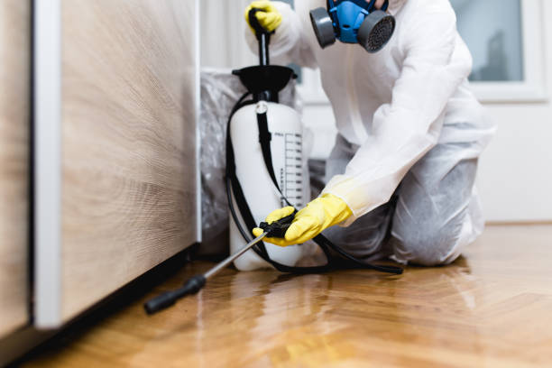 Best Pest Control Near Me  in Chandler, OK