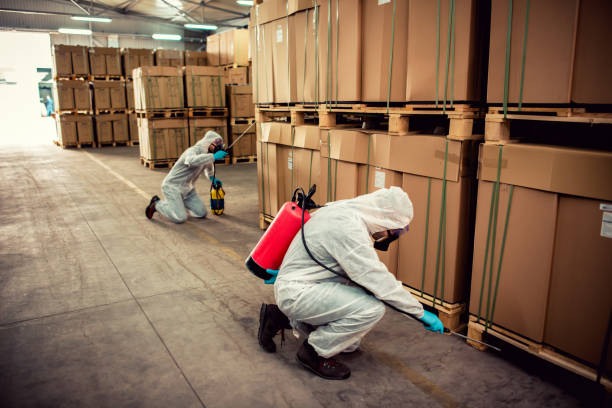 Best Pest Removal Services  in Chandler, OK