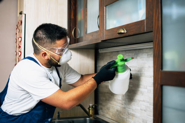 Reliable Chandler, OK Pest Control Solutions