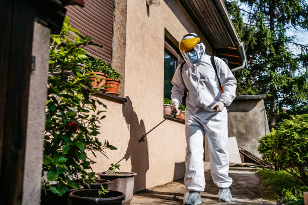 Best Wasp Removal Services  in Chandler, OK