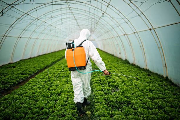 Professional Pest Control in Chandler, OK