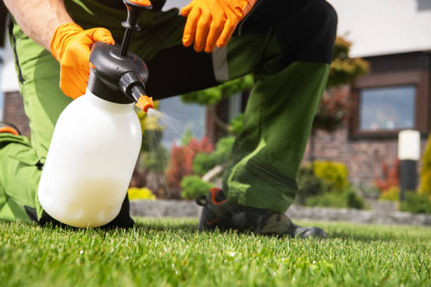 Best Ant Control Services  in Chandler, OK