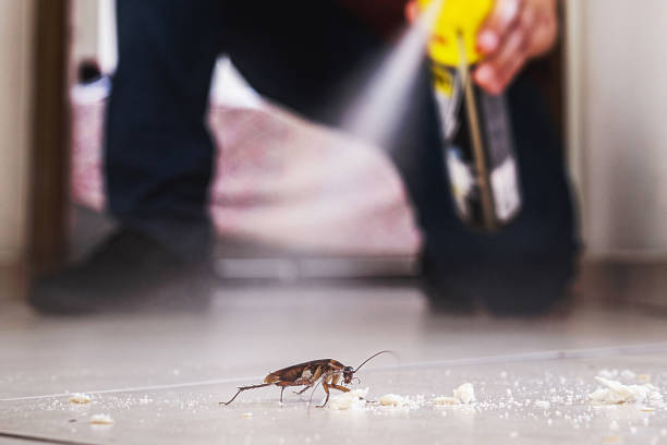 Wildlife Control Services in Chandler, OK