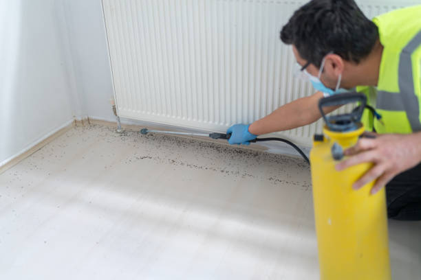 Best Affordable Pest Control Services  in Chandler, OK